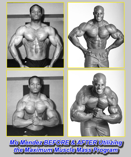 Maximum Muscle Mass Before and After