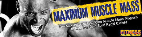 Maximum Muscle Max